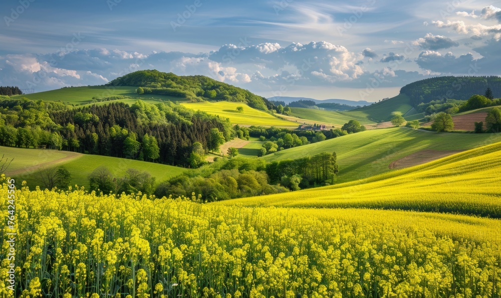 A picturesque countryside scene with rolling hills blanketed in vibrant yellow rapeseed flowers, spring nature, fields and meadows