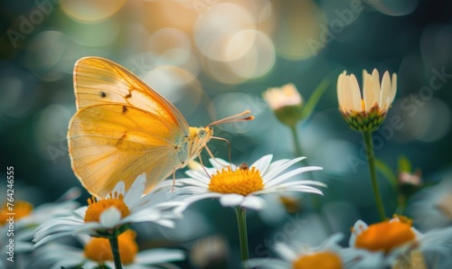 Butterfly amidst wildflowers, closeup view, selective focus, spring nature © TheoTheWizard