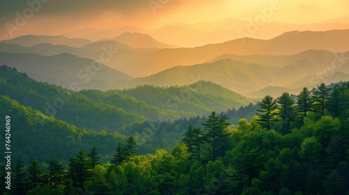 Mountain Range With Trees