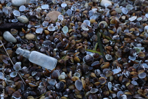 una bottiglia di vetro su una spiaggia dopo una mareggiata photo