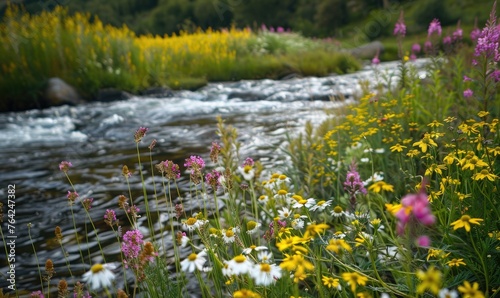 Wildflowers blooming along the shores of a meandering spring river. Spring nature background photo