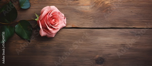 Single pink rose on rustic wooden surface