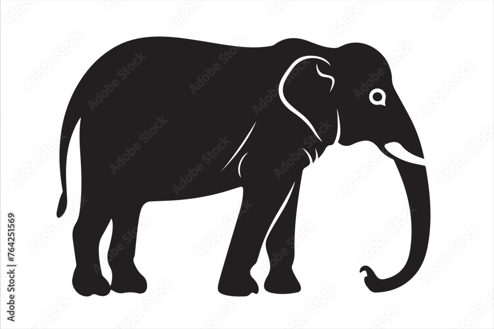 Fototapeta premium elephant isolated on white background