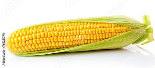 Close-up of a yellow corn cob with fresh kernels isolated on white background