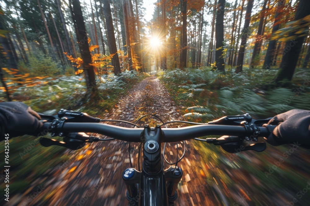 Cyclist's perspective riding through a serene forest during sunrise, reflecting peace and natural beauty Cyclist's perspective riding through a serene forest during sunrise, reflecting peace and natural beauty