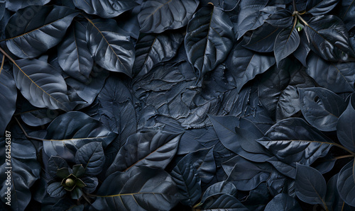 Dark blue leaves with water droplets texture background