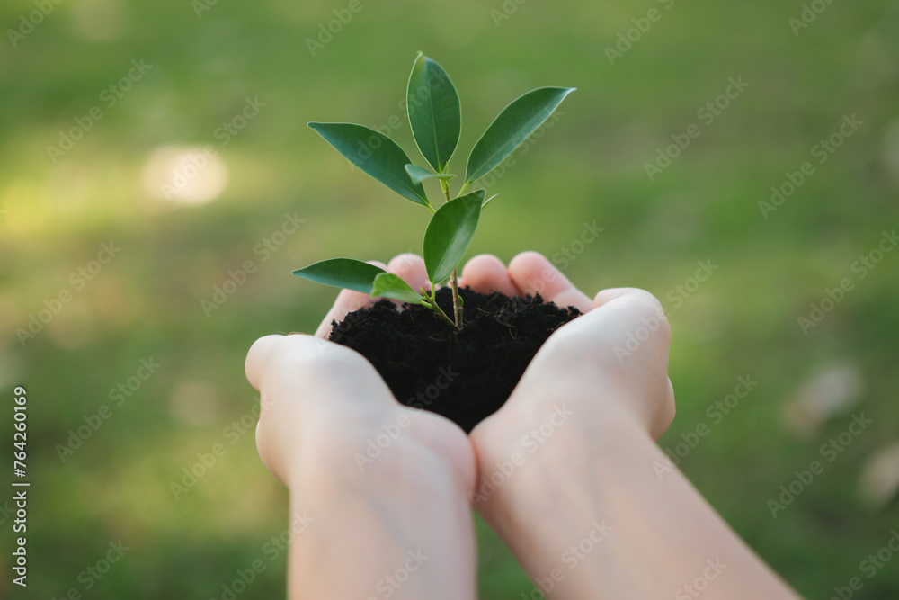 Fototapeta premium Promoting eco awareness on reforestation and long-term environmental sustainability with boy holding plant or sprout on fertile soil as nurturing greener nature for sustainable future. Gyre