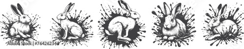 five hare, rabbits in paint splatter black and white vector set