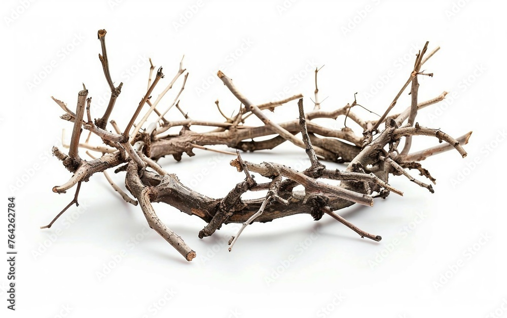 Fototapeta premium Crown of Thorns: Branches Symbolizing Sacrifice Isolated on White Background.