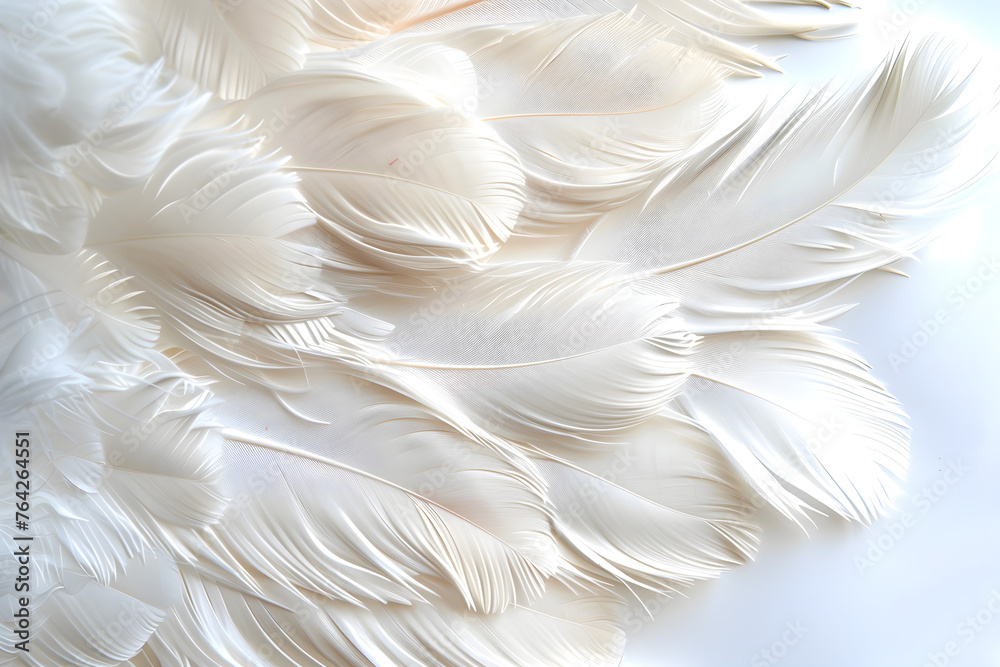 Background with white soft feather texture, suitable for sleep and health concept.