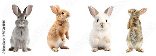 Cute funny bunnies set, full length, isolated.