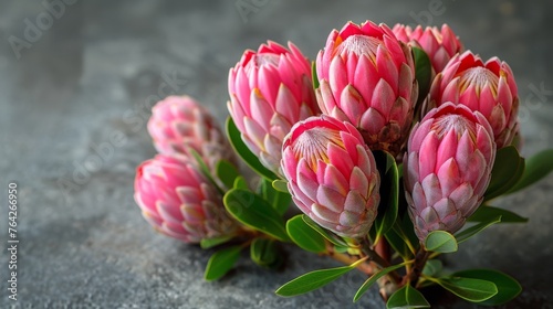 Pink Flowers on Table