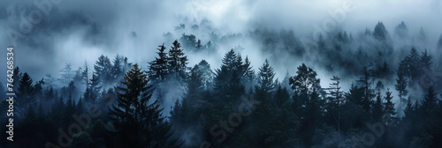 Black forest with thick fog. Treetops in the clouds. Mystical dark nature background. photo