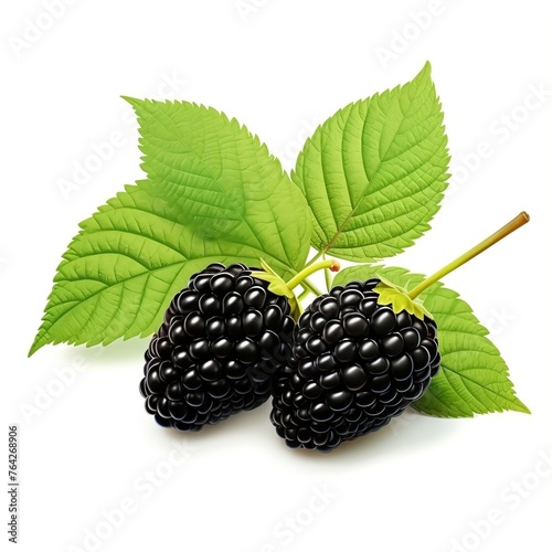 Three organic Mulberry fruits with green leaves isolated on white background