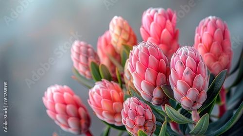 Pink Flowers on Table