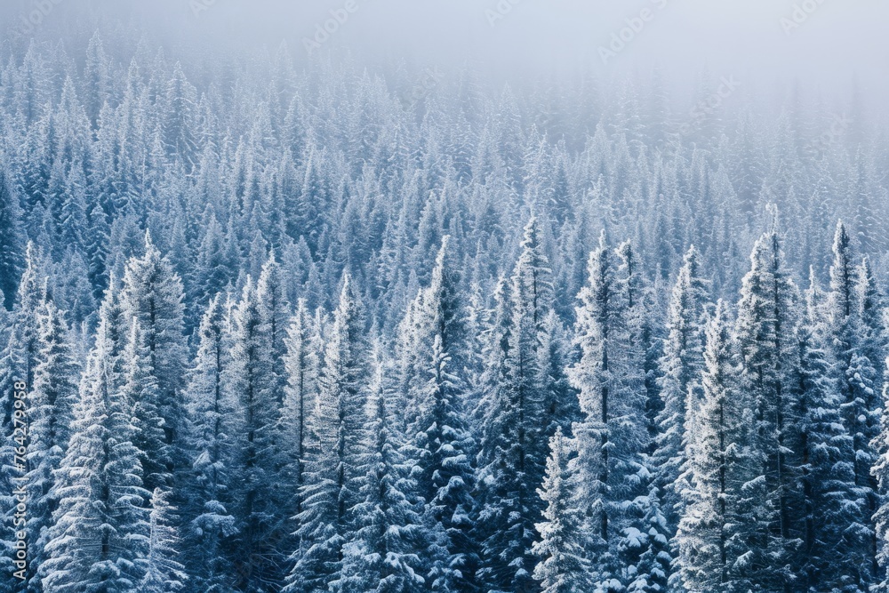 A majestic scene of a large group of trees covered in pristine white snow, creating a breathtaking winter landscape, A dense pine forest covered in snow, AI Generated A majestic scene of a large group of trees covered in pristine white snow, creating a breathtaking winter landscape, A dense pine forest covered in snow, AI Generated