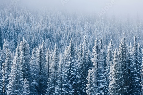 A majestic scene of a large group of trees covered in pristine white snow, creating a breathtaking winter landscape, A dense pine forest covered in snow, AI Generated © Ifti Digital