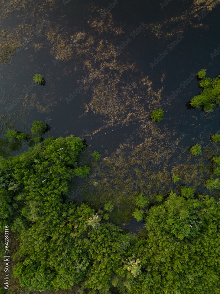 landscape of a blue river with green trees