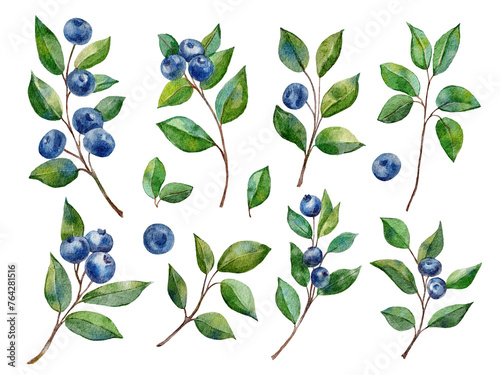 Watercolor set with blueberries on branch