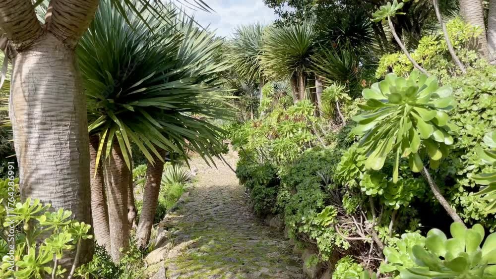 Park of Monserrate Palace, Sintra, Portugal. Park of Monserrate Palace, Sintra, Portugal.