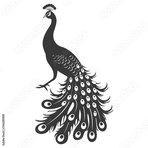 Silhouette Peafowl Birds Animal raise feather tail black color only