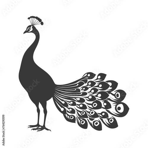 Silhouette Peafowl Birds Animal raise feather tail black color only