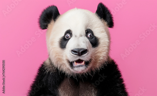 Panda Surprise: Adorable Shock on Pink