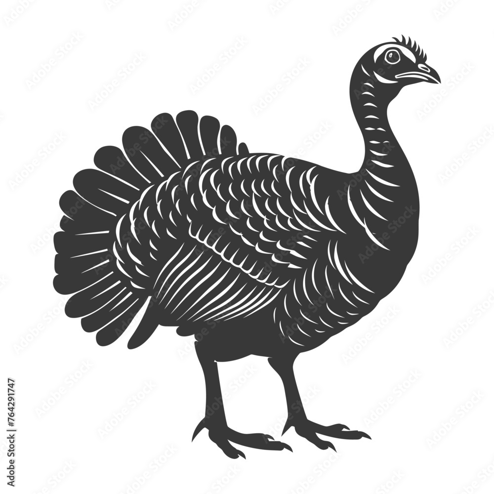 Silhouette Turkey Animal black color only full body Silhouette Turkey Animal black color only full body