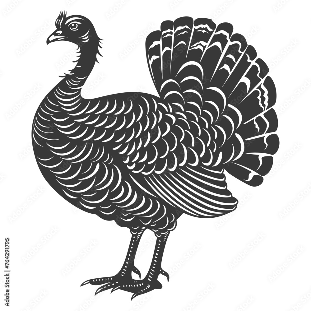 Silhouette Turkey Animal black color only full body Silhouette Turkey Animal black color only full body