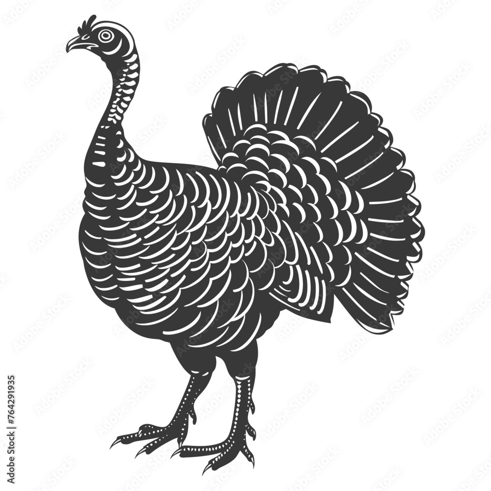 Fototapeta premium Silhouette Turkey Animal black color only full body