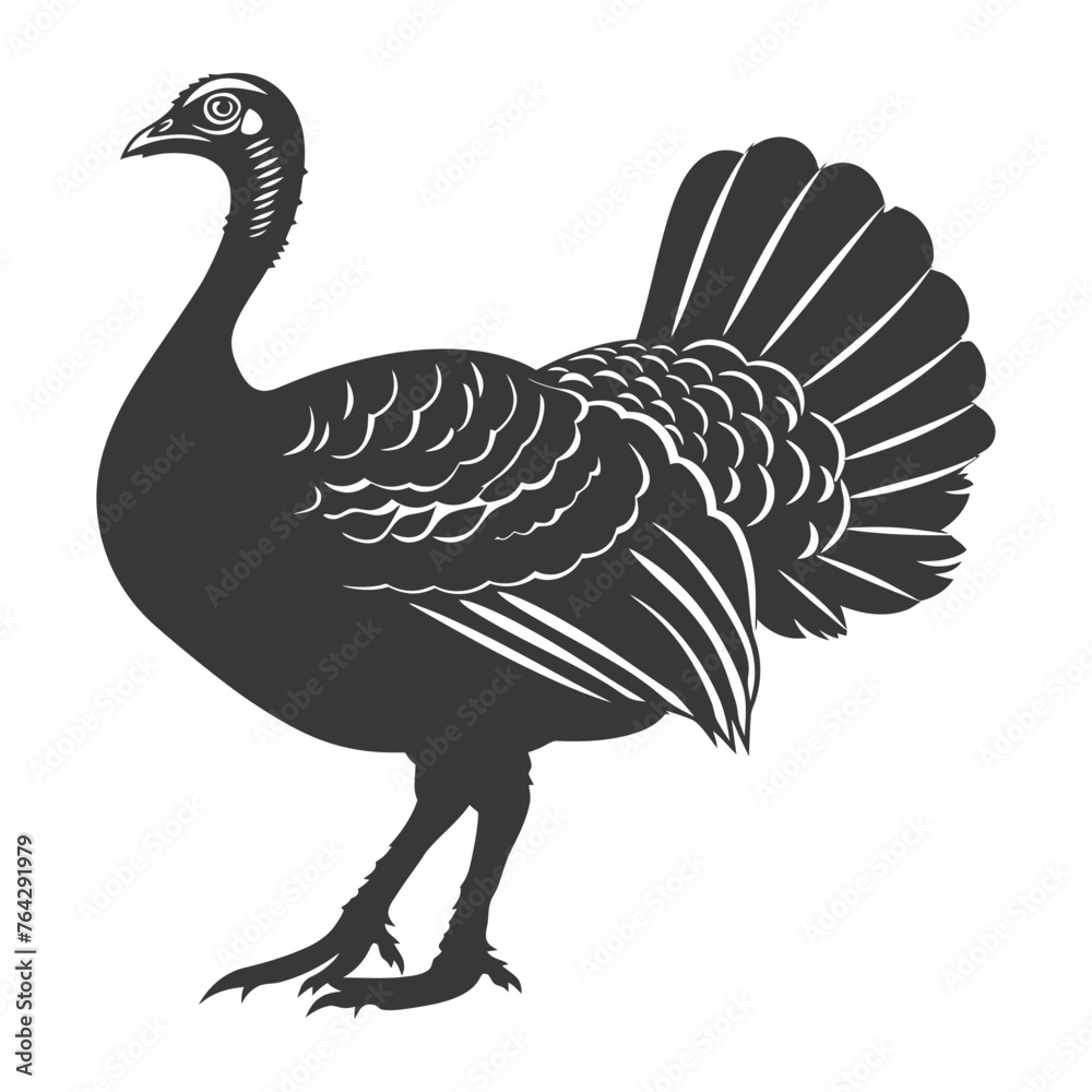 Fototapeta premium Silhouette Turkey Animal black color only full body