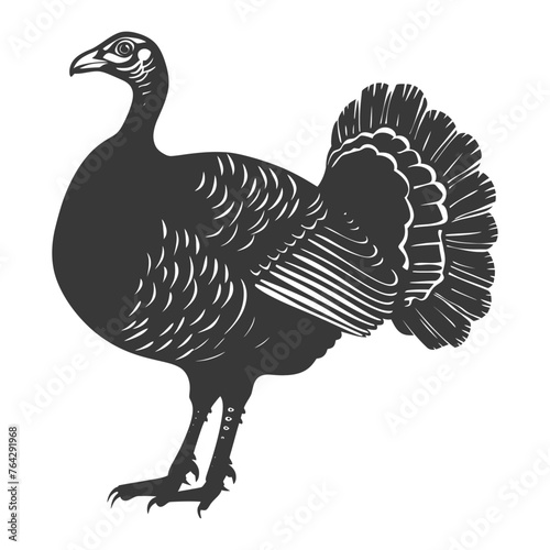 Silhouette Turkey Animal black color only full body