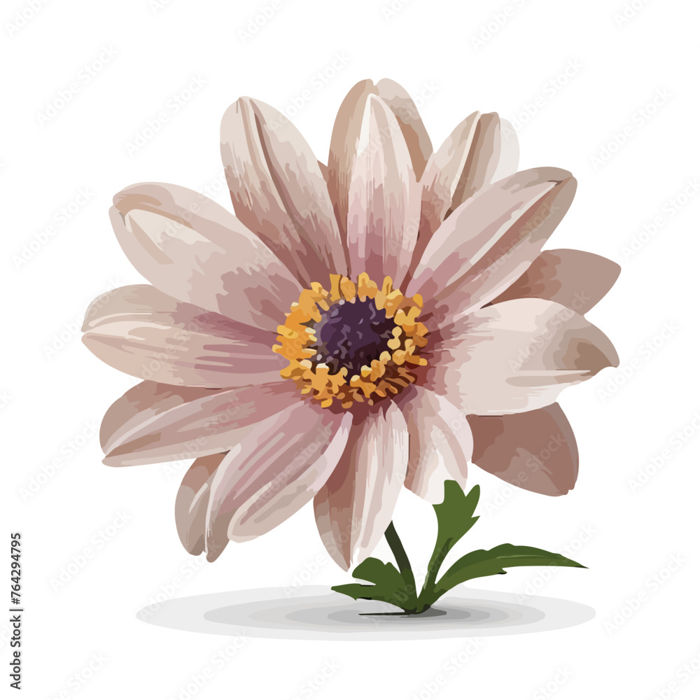 Elegant Flower Clipart isolated on white background