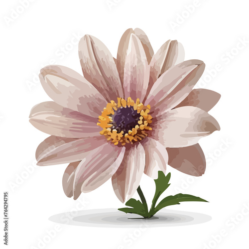 Elegant Flower Clipart isolated on white background