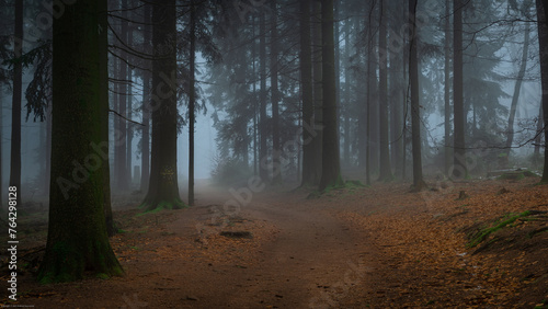 Odenwald forest © Andrzej