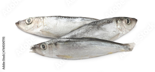 Fresh raw Baltic sprats isolated on white