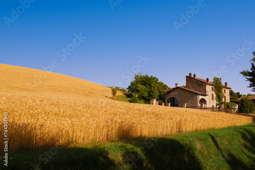 Under the blue sky, brick country house, near the golden wheat field in an Italian landscape.