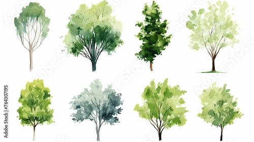 A set of green trees  vector illustration  in the style of watercolor  white background  simple design  high resolution