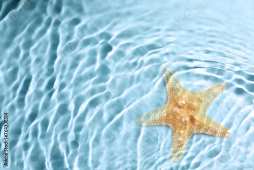 Starfish in sea water, top view. Space for text