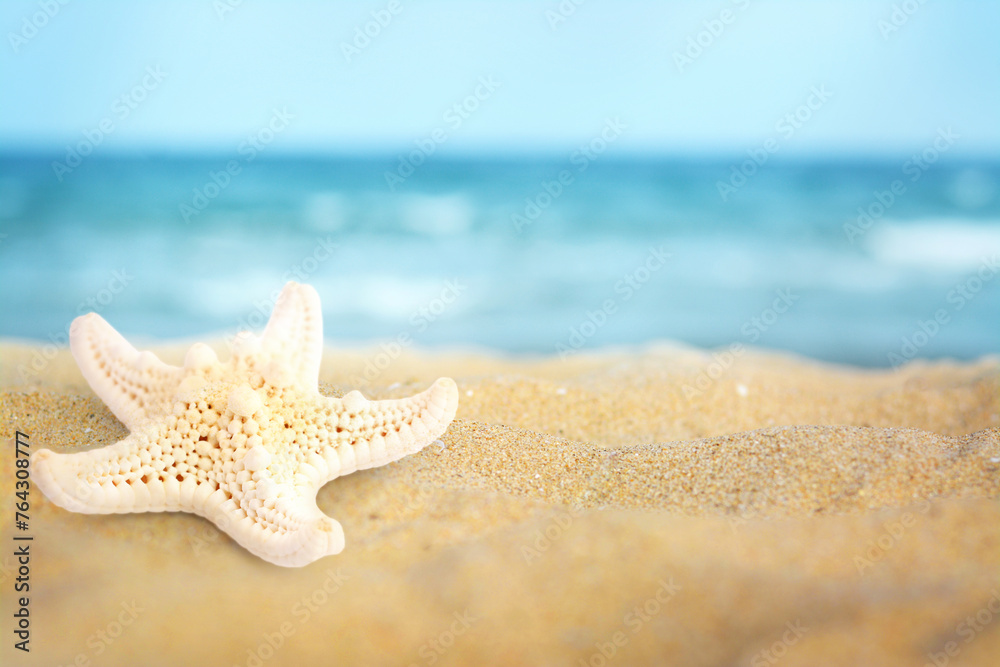 Starfish on sandy beach near sea, space for text Starfish on sandy beach near sea, space for text