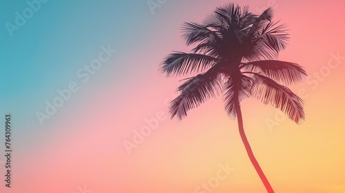 A simple outline of a palm tree against a gradient sunset sky  AI generated illustration © Olive Studio