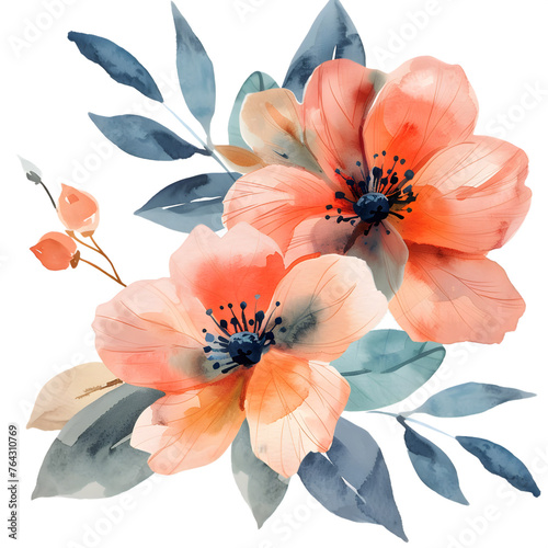 Watercolor flower png for text, presentations and cards