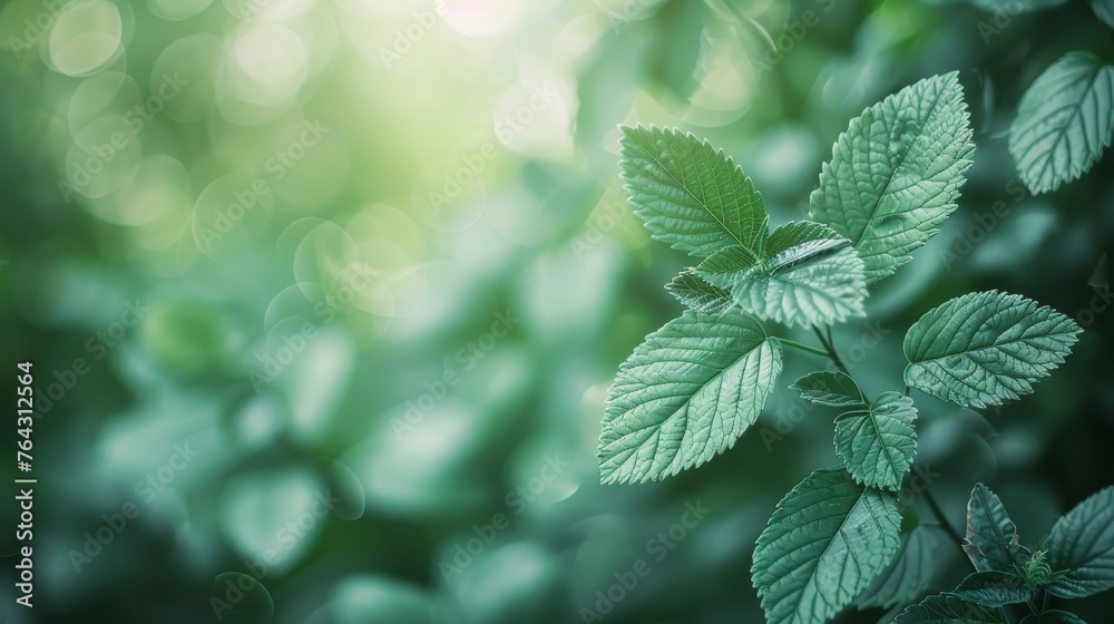 Serene mint green leaves swaying in a gentle breeze  AI generated illustration