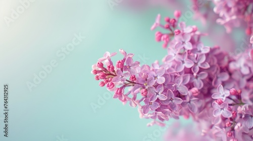 Whispering lilac blossoms against a pastel blue backdrop  AI generated illustration