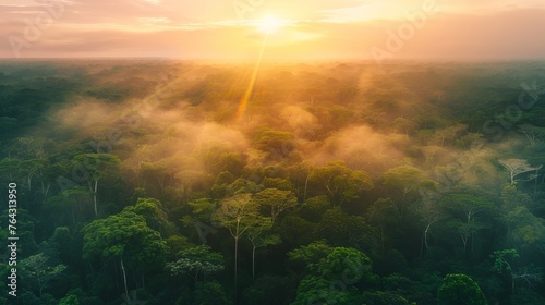Beautiful green amazon forest landscape at sunset sunrise, bird perspective, copy and text space, 16:9 © Christian