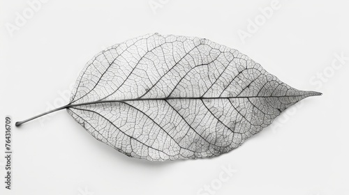 Fine details of a leafs veins against a white backdrop AI generated illustration