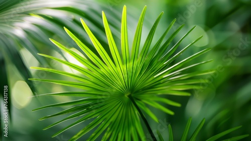 Minimalist interpretation of a palm leaf in shades of green  AI generated illustration