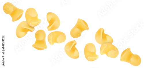 Raw horns pasta flying on white background