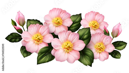 Captivating isolated pink flower bush PNG  perfect for designs. Delicate blooms on white background. Ideal for web  print  and creative projects.