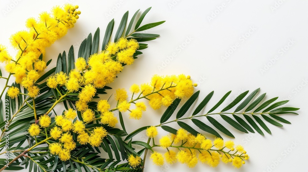 a bunch of yellow flowers sitting on top of a white table next to a green leafy plant on a white surface.